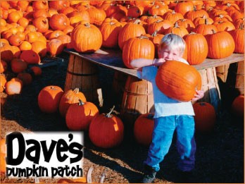 Dave’s Pumpkin Patch